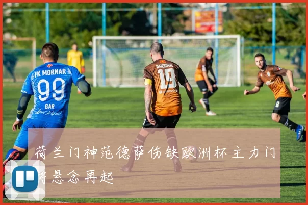 荷兰门神范德萨伤缺欧洲杯主力门将悬念再起