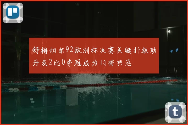 舒梅切尔92欧洲杯决赛关键扑救助丹麦2比0夺冠成为门将典范
