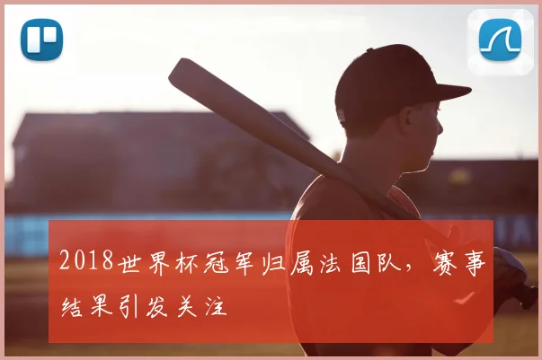 2018世界杯冠军归属法国队,赛事结果引发关注