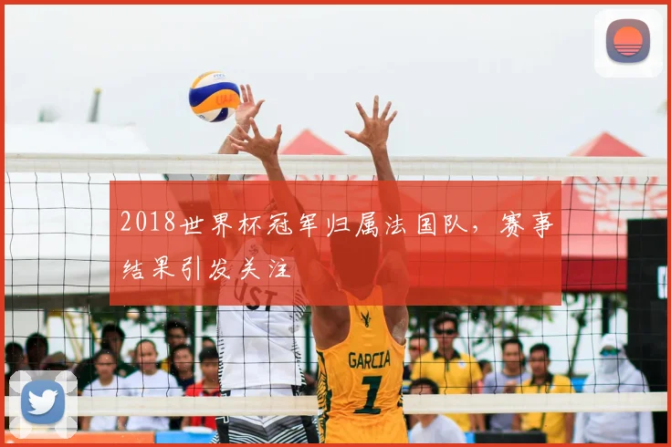 2018世界杯冠军归属法国队,赛事结果引发关注