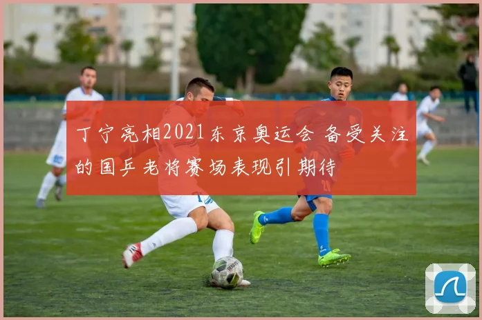 丁宁亮相2021东京奥运会 备受关注的国乒老将赛场表现引期待