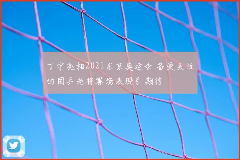 丁宁亮相2021东京奥运会 备受关注的国乒老将赛场表现引期待