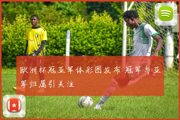 欧洲杯冠亚军体彩图发布 冠军与亚军归属引关注